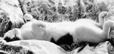 Sebastian in seiner Lieblingsposition