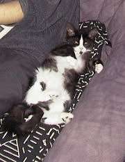 Sera beim Entspannen