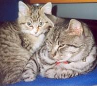 Herr Bobby und Sissi