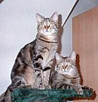 Susi und Florian halten Ausschau