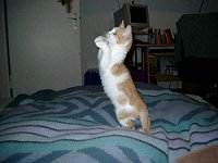 Sugar macht M�nnchen