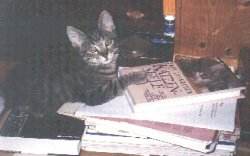 Ich hab meinen Leyhausen studiert!