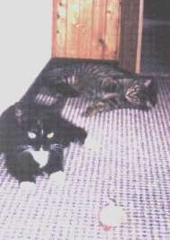 Wir haben viel Spa zusammen