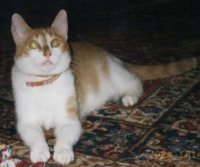 Tequilla, der ja leider nicht mehr bei mir lebt;-(