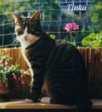 Tinka