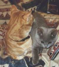 Jeder wird seinen Platz finden