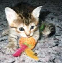 Die kleene Xena mit ihrem Spielzeug!